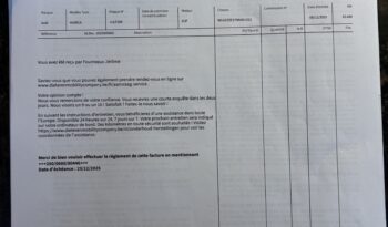 AUDI RS6 4.0 V8 TFSI Quattro C8 Tiptronic S – 2021 ( MOD 2022 ) – Vendue complet